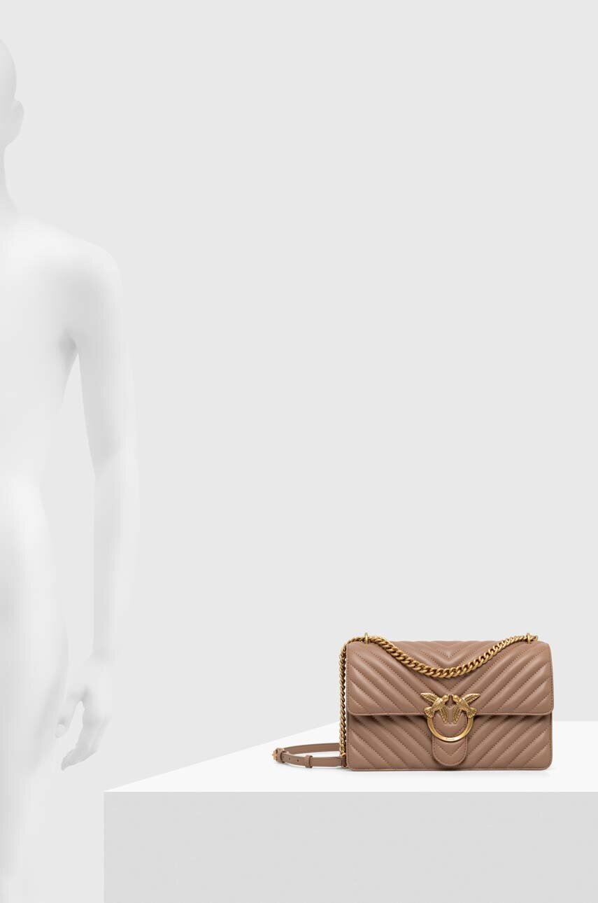 Δερμάτινη τσάντα Pinko χρώμα: καφέ, 100941 A0GK φωτογραφία