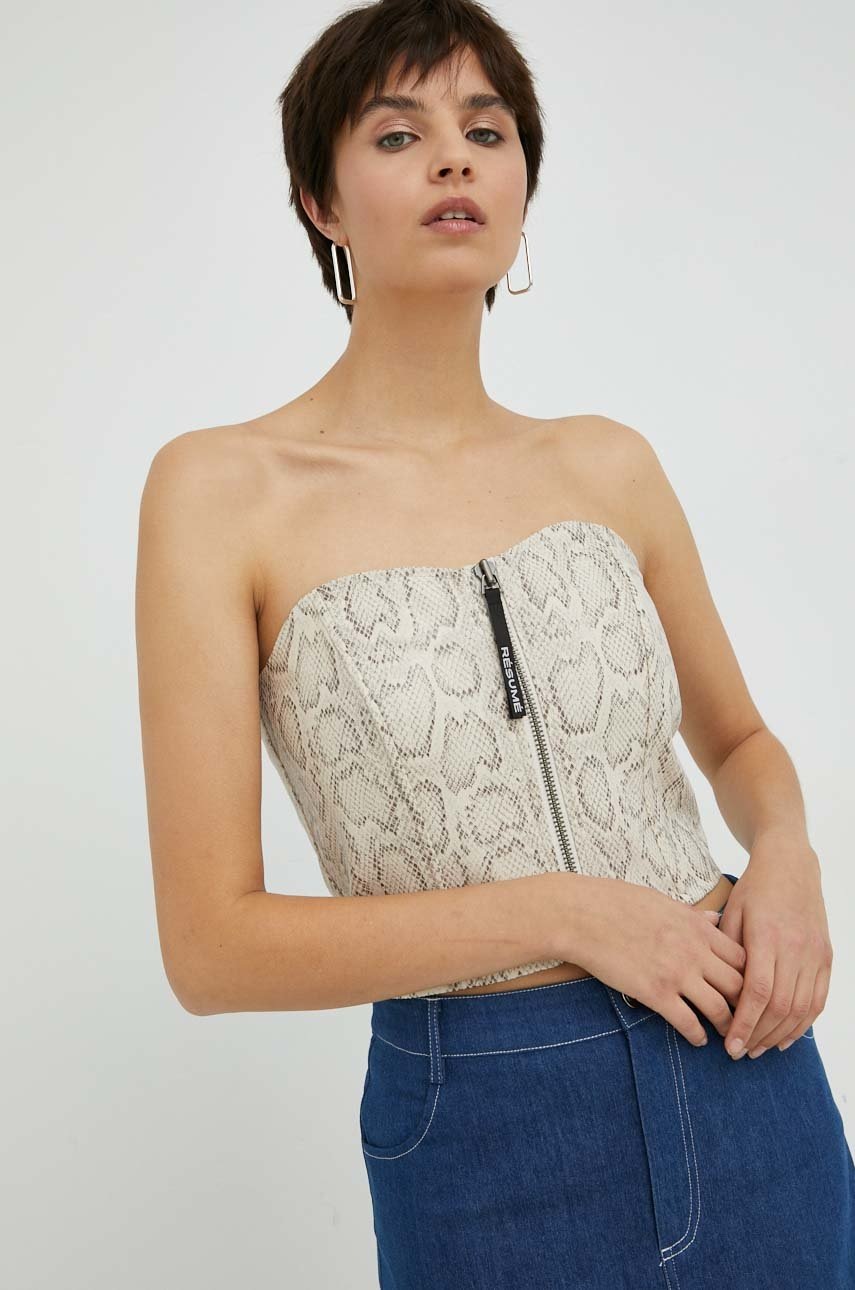 Top Résumé (obrázek 4)