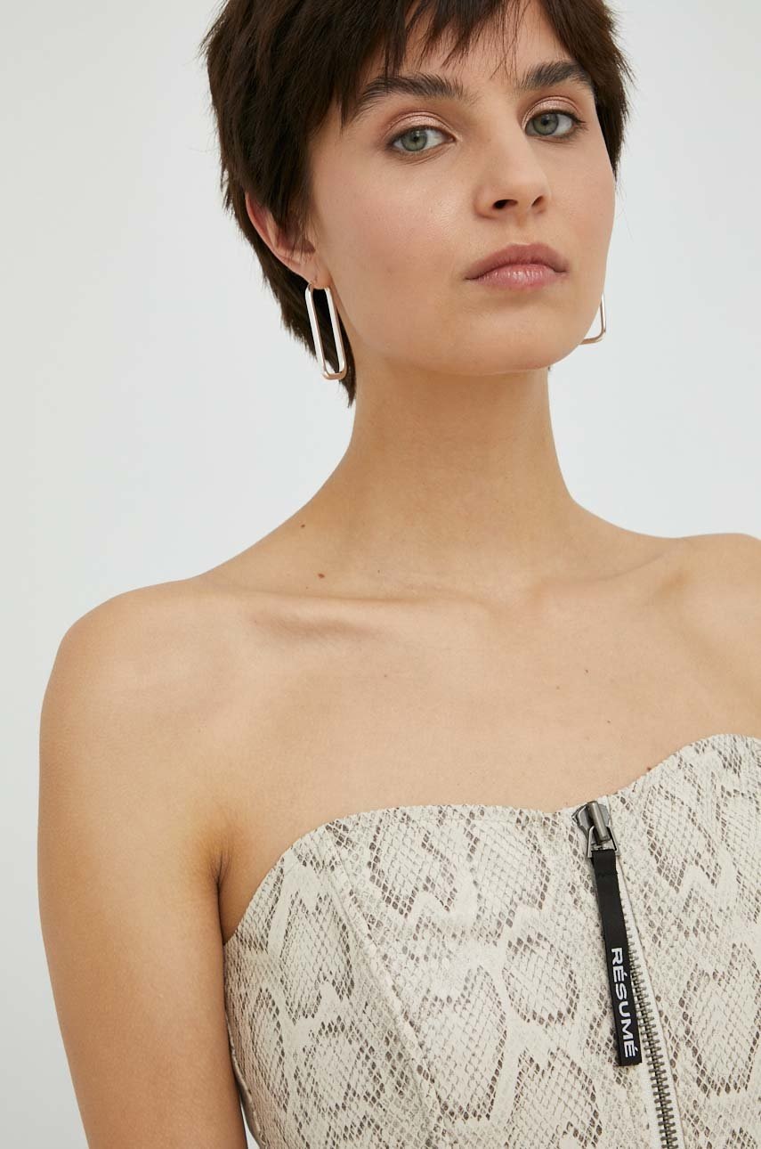 Top Résumé (obrázek 5)