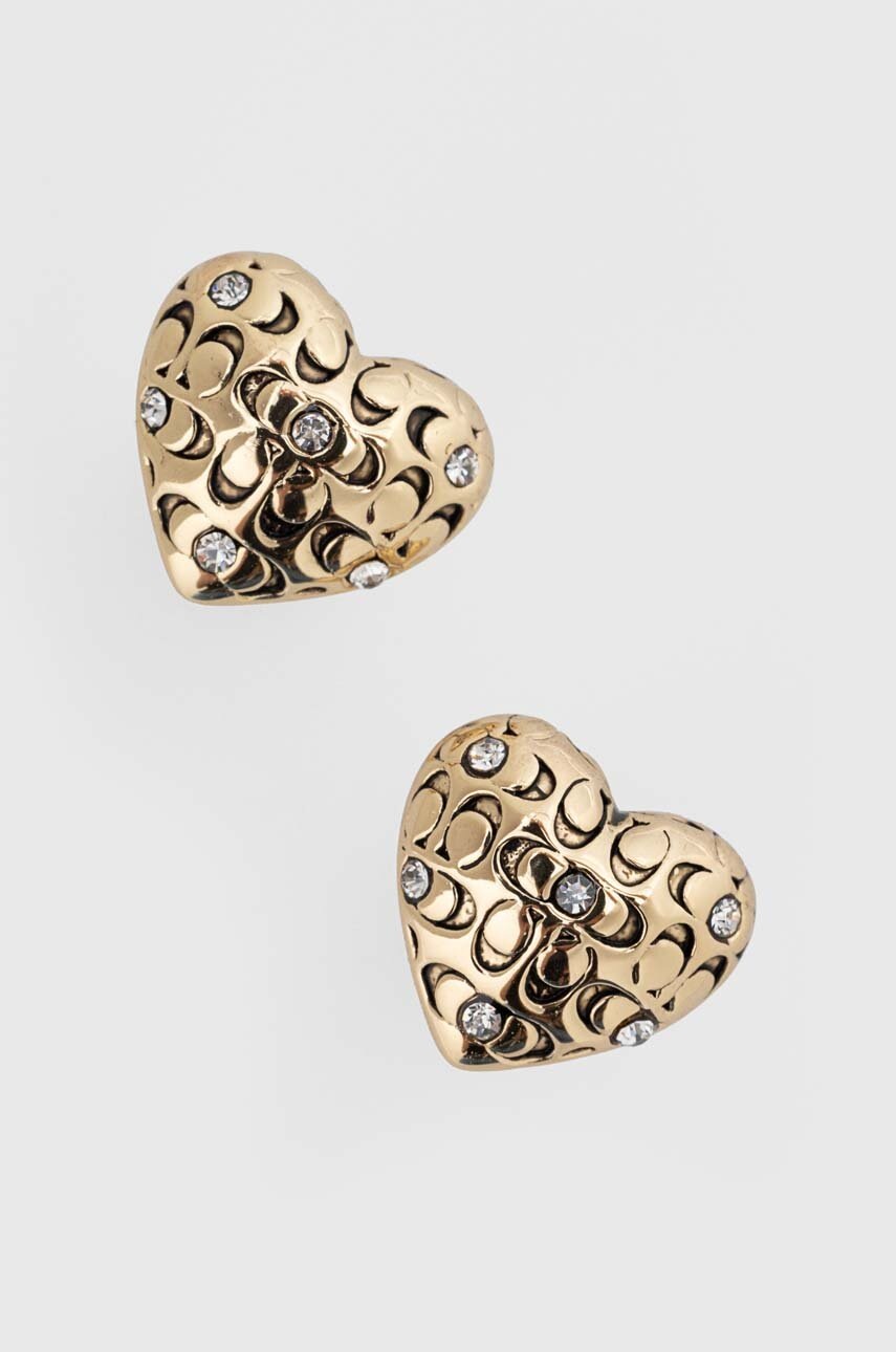 

Сережки Coach