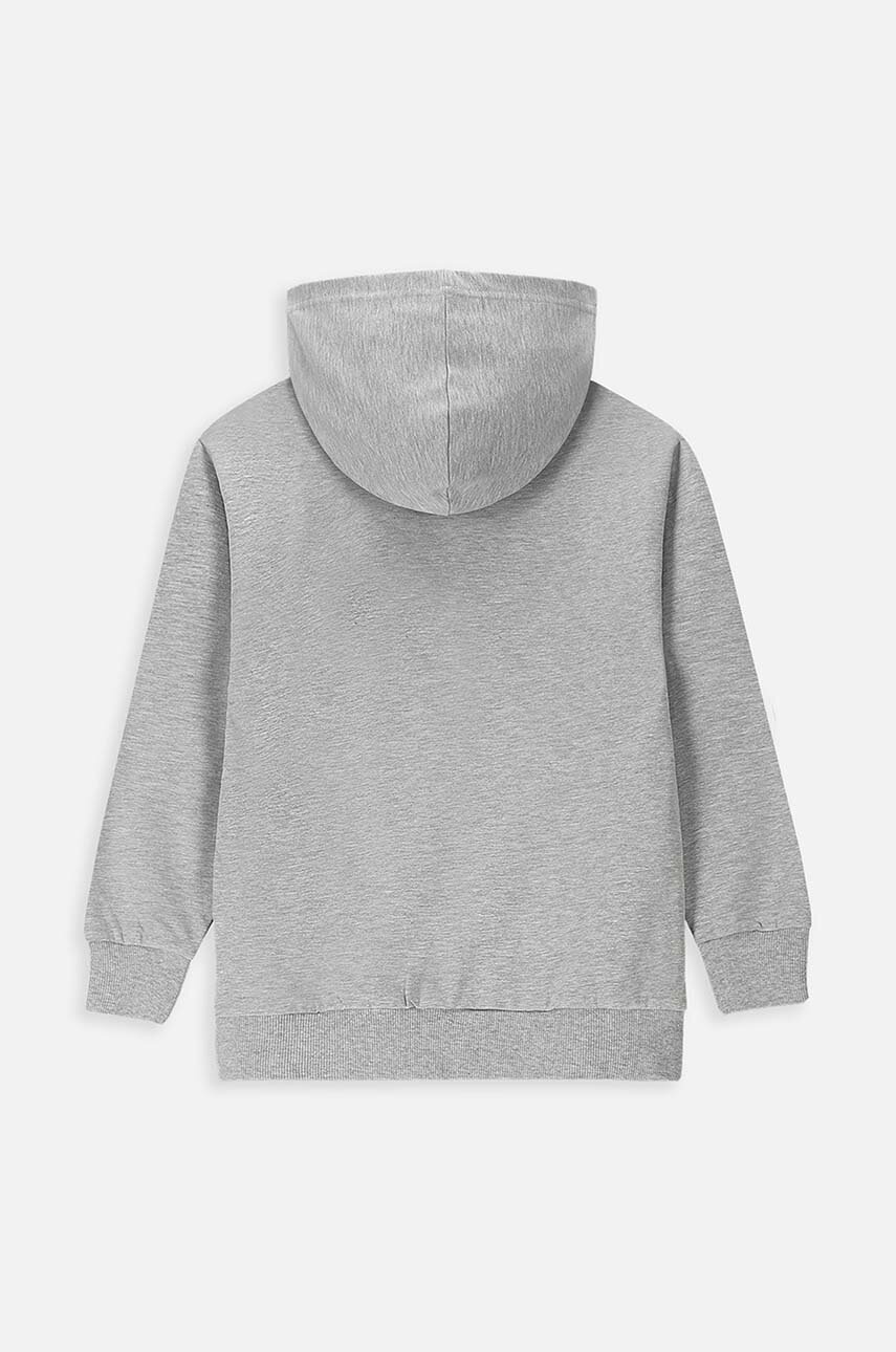 Детская кофта Coccodrillo цвет серый с капюшоном с принтом в Полтаве Детская кофта Coccodrillo цвет серый с капюшоном с принтом в Полтаве