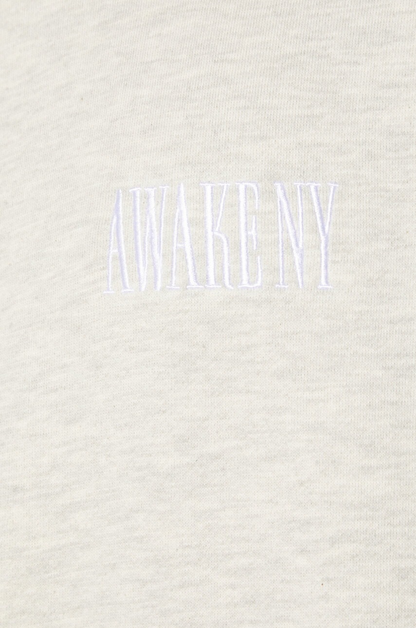 Βαμβακερή μπλούζα Awake NY Awake Crewneck χρώμα: γκρι, SP24-CN002 φωτογραφία