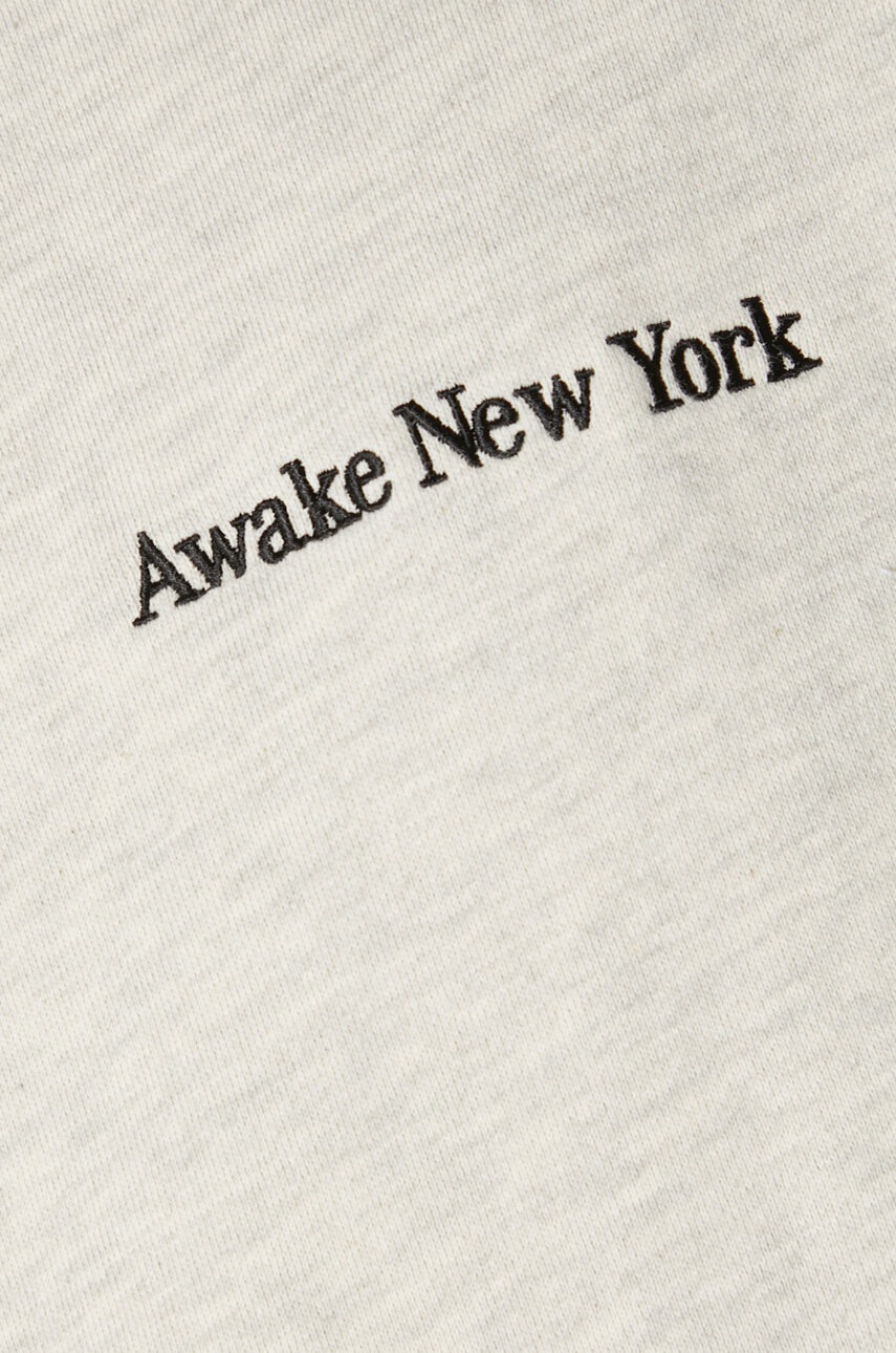 Βαμβακερή μπλούζα Awake NY Serif Hoodie φωτογραφία