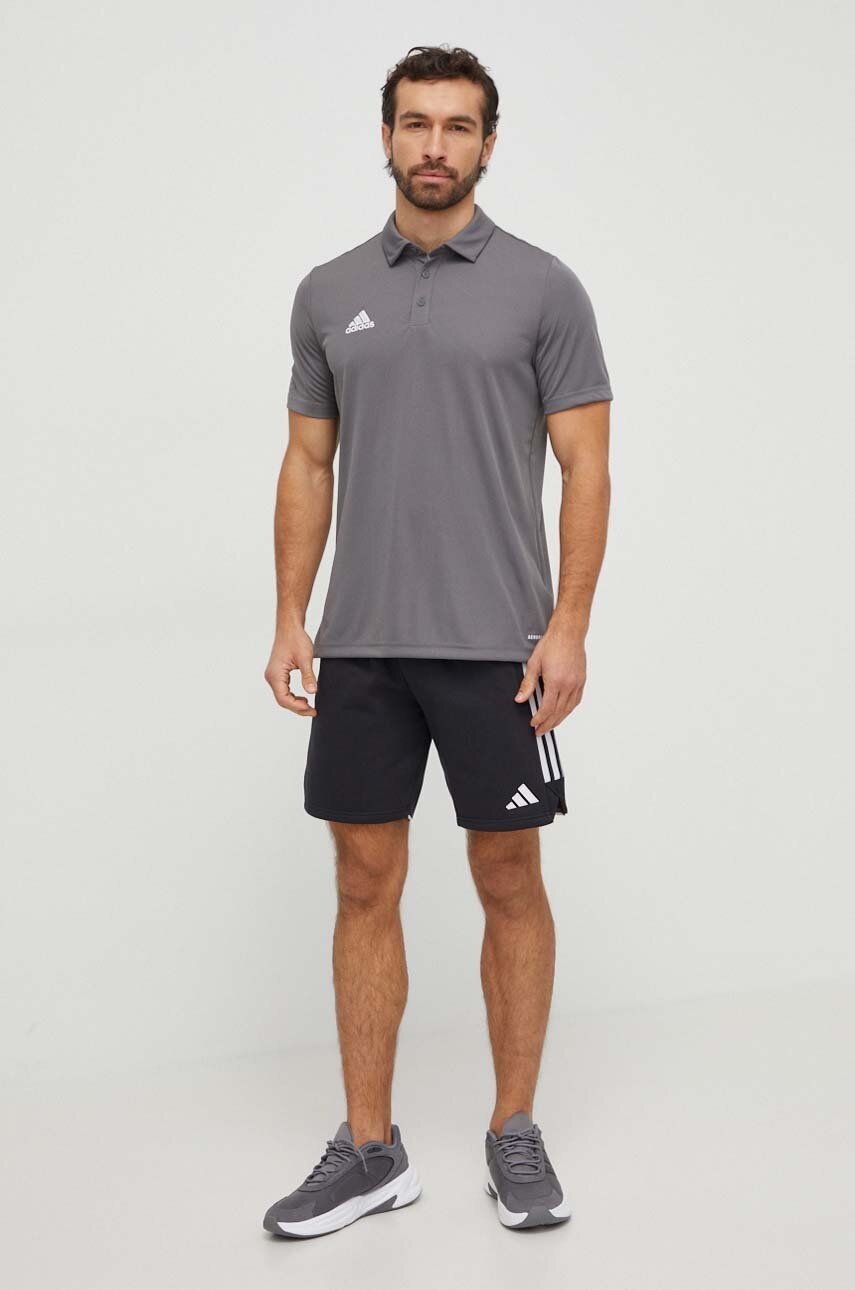 Polo προπόνησης adidas Performance Entrada 22 Shadow Original Entrada 22 χρώμα: γκρι S70812.3 H57486 φωτογραφία