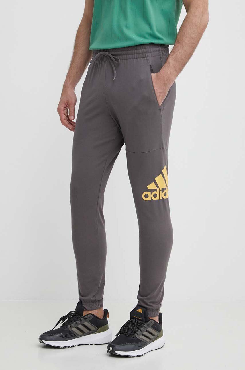 adidas pantaloni de trening culoarea gri, cu imprimeu, IR9989