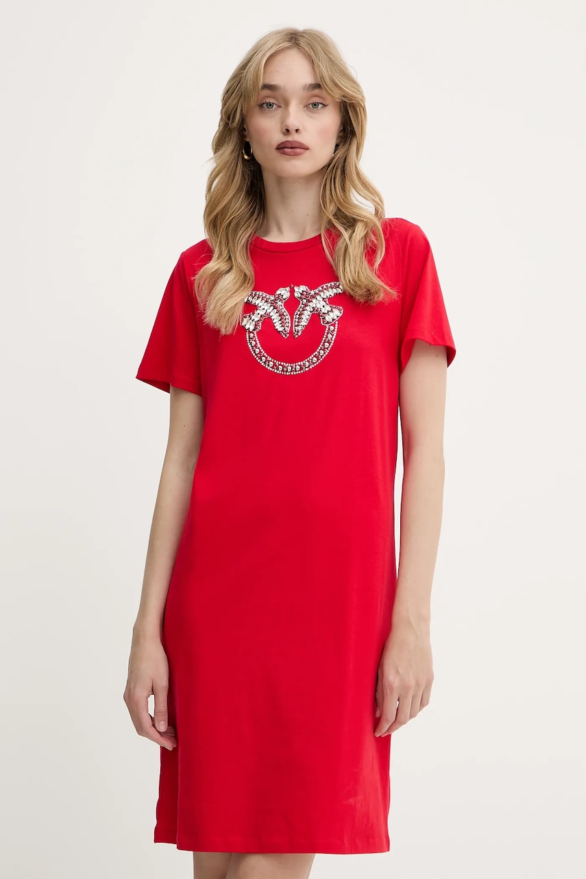 Бавовняна сукня Pinko Answear Exclusive колір чорний mini пряма