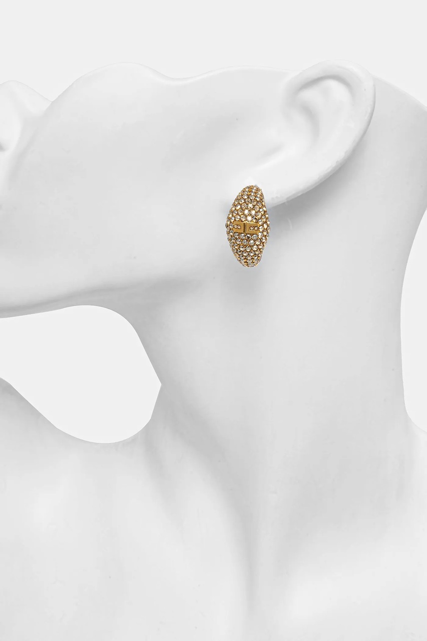 Сережки Elisabetta Franchi OR44M51E2 