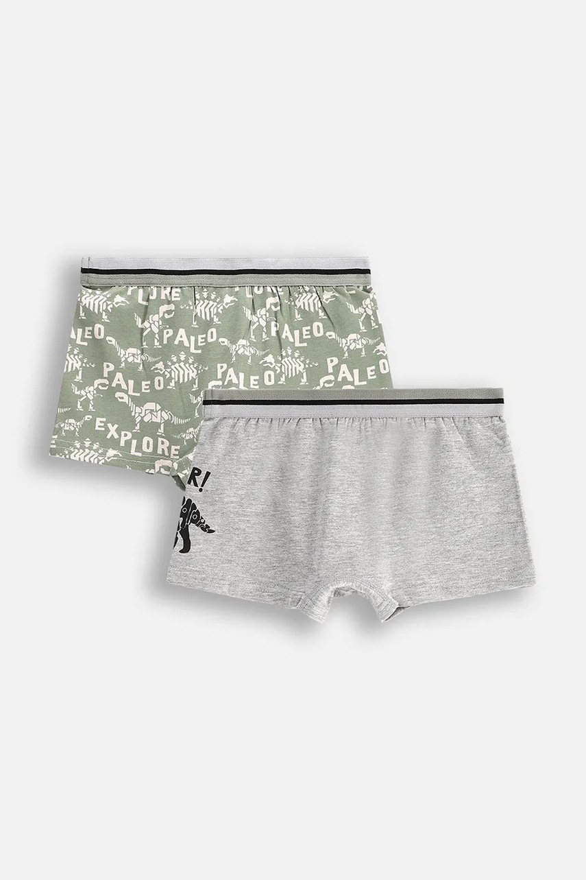 Детские боксеры Coccodrillo 2 шт цвет зелёный PANTS