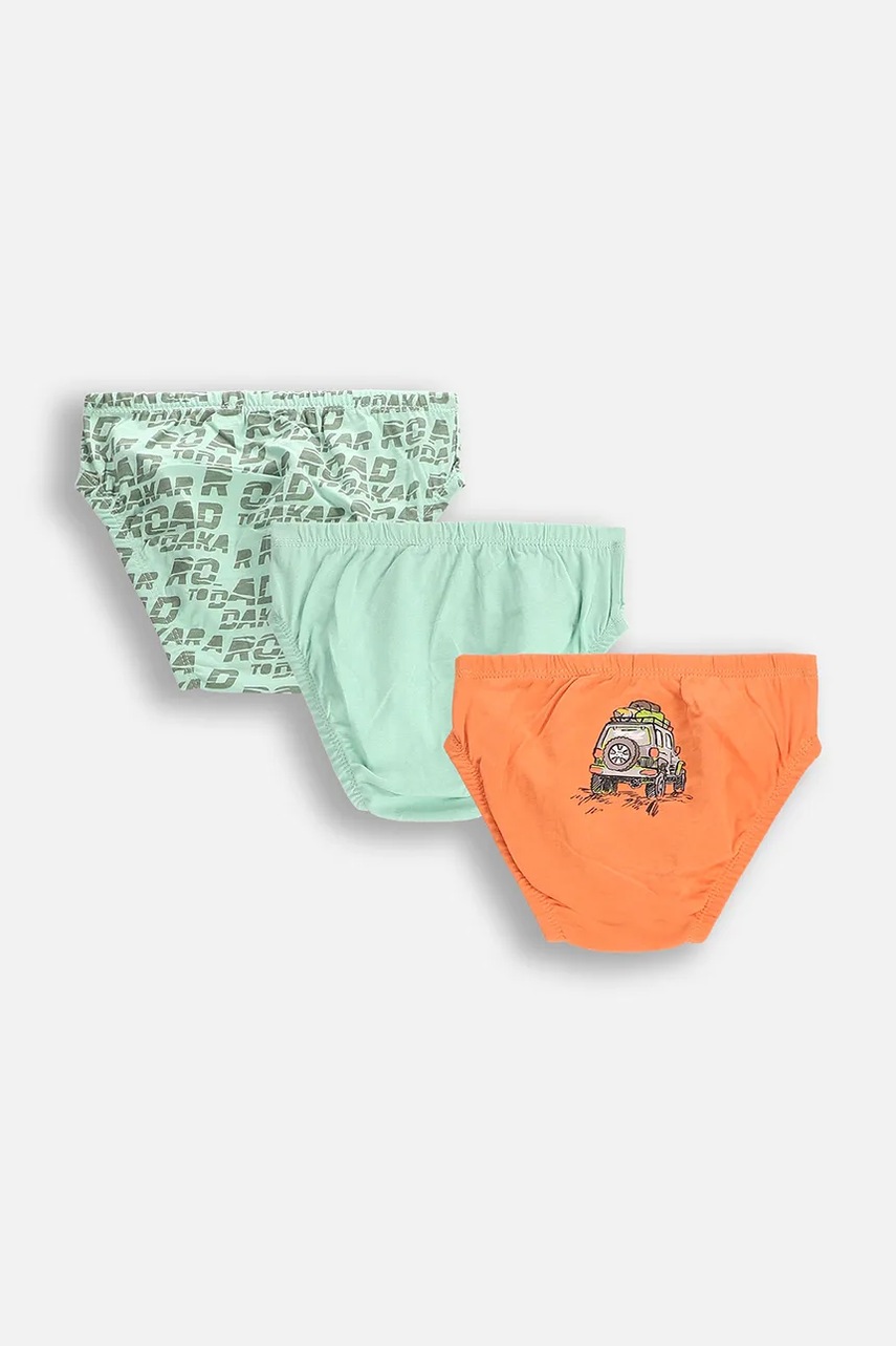 Детские трусы Coccodrillo 3 шт цвет зелёный PANTS