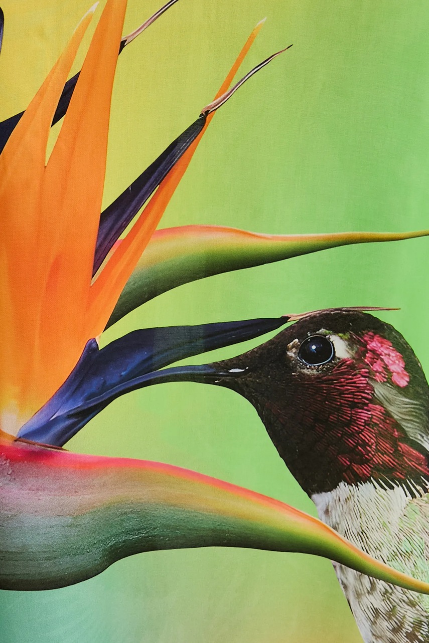 Plážové šaty Desigual COLIBRÍ DRESS (obrázek 5)