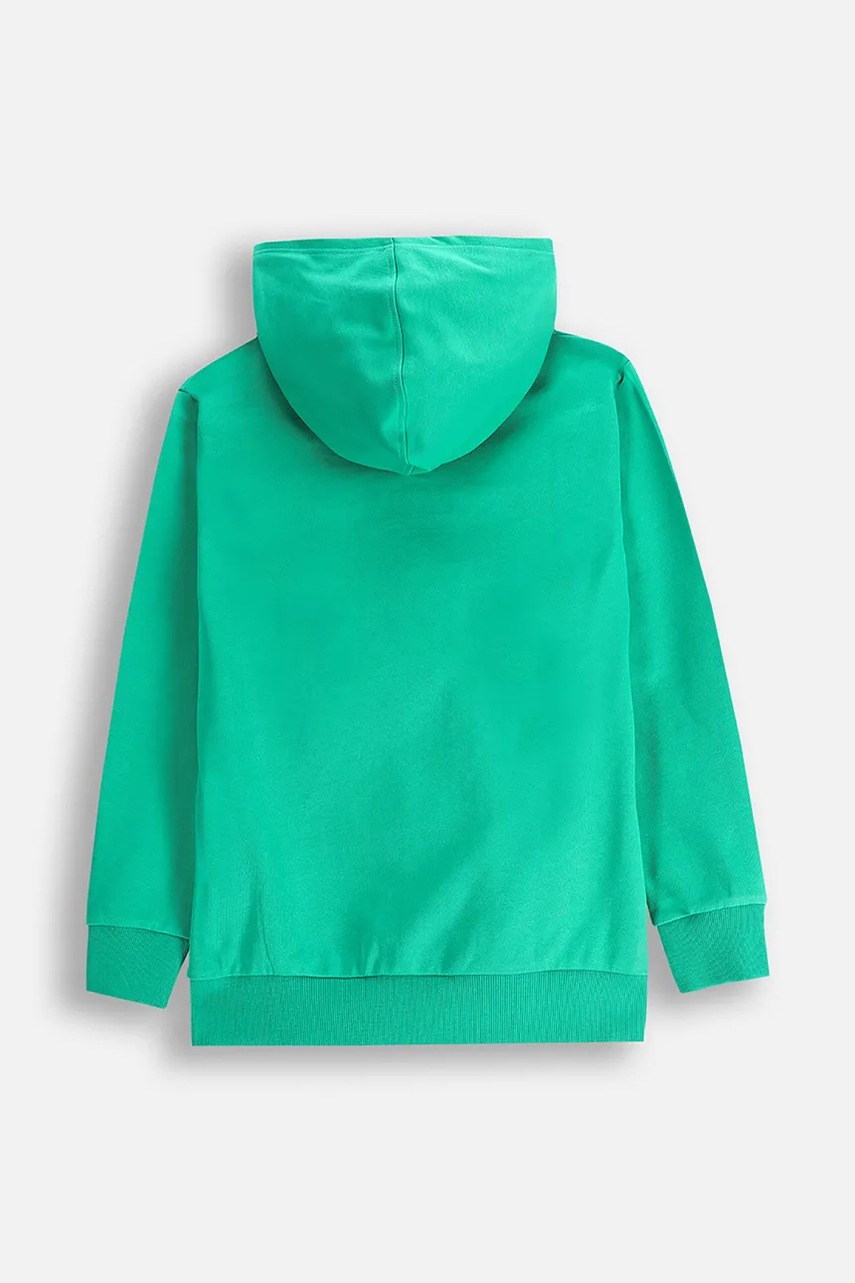 Детская кофта Coccodrillo цвет зелёный с капюшоном EVERYDAY BOY