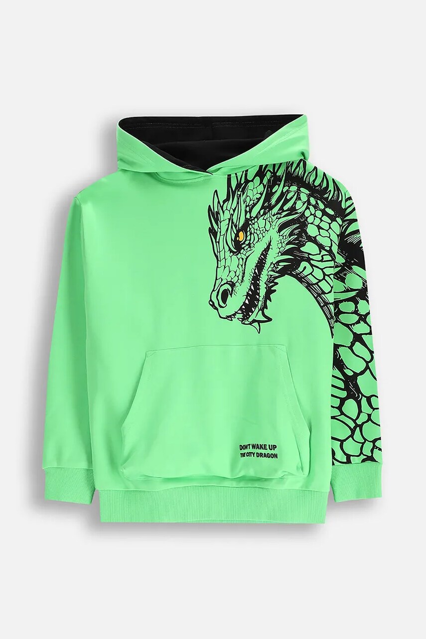 Coccodrillo bluza copii culoarea verde, cu gluga, cu imprimeu, DRAGONS BOY JUNIOR