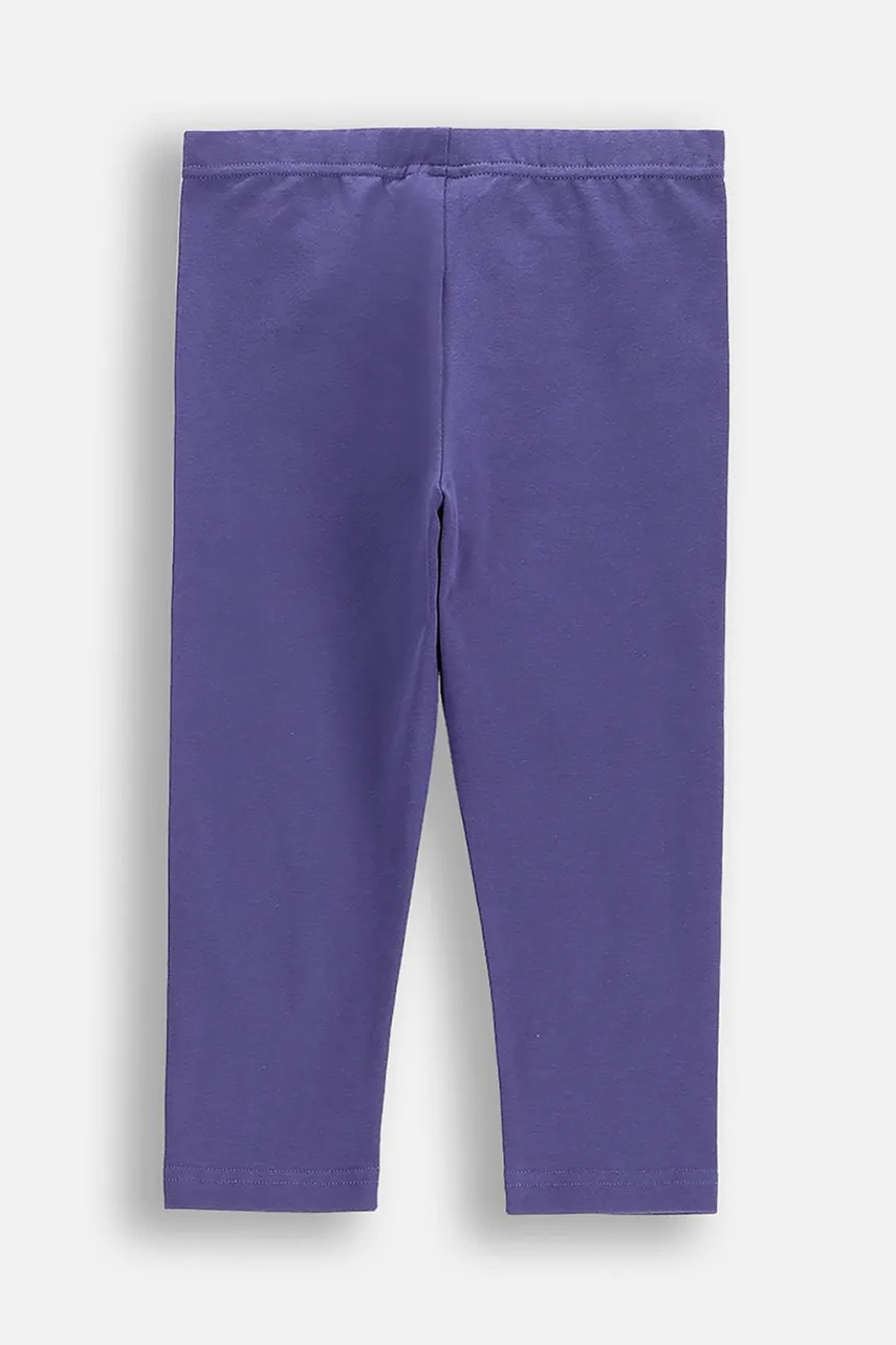Бавовняні легінси Coccodrillo колір фіолетовий EVERYDAY GIRL