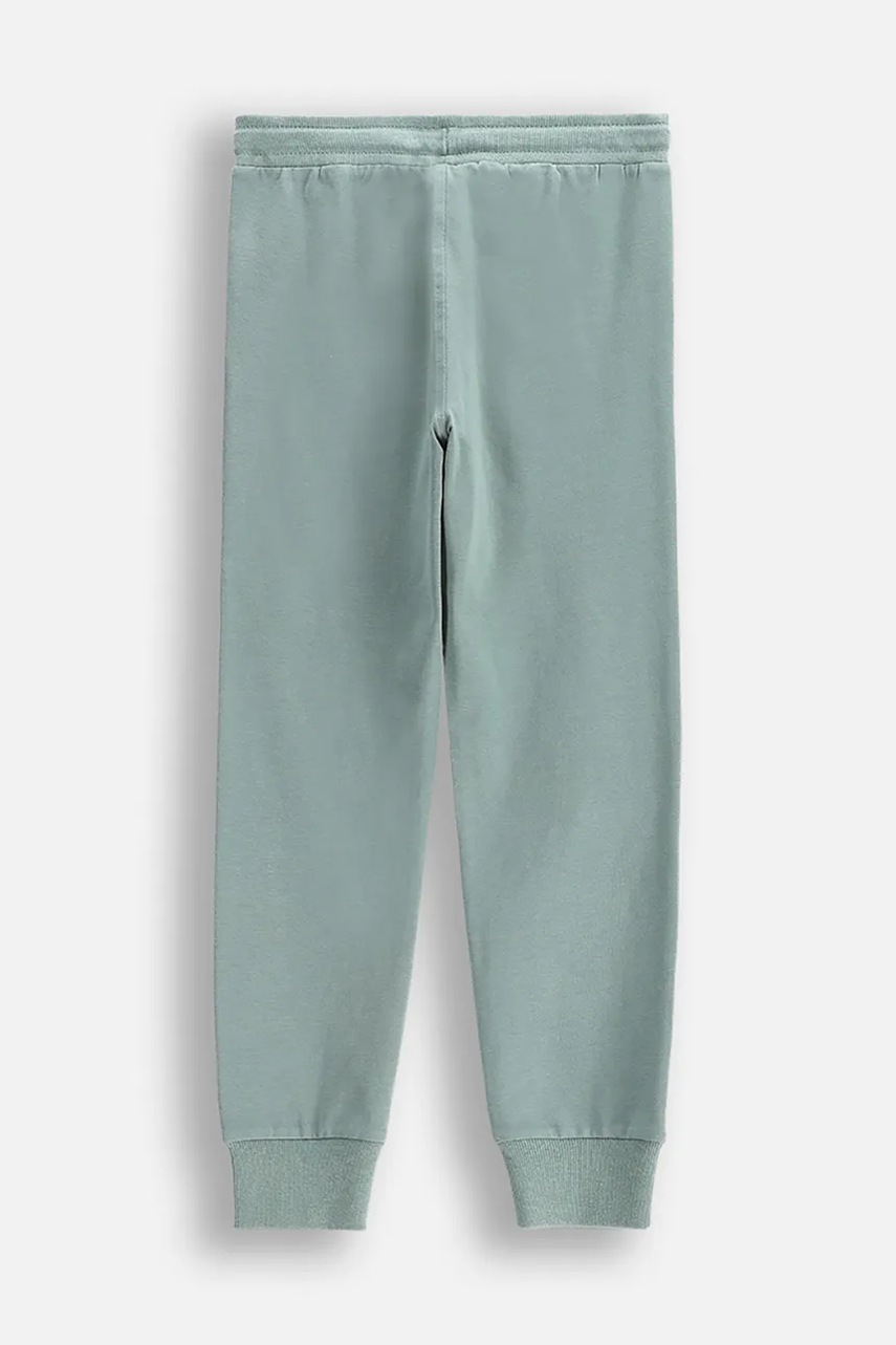 Детские спортивные штаны Coccodrillo цвет зелёный однотонные EVERYDAY BOY