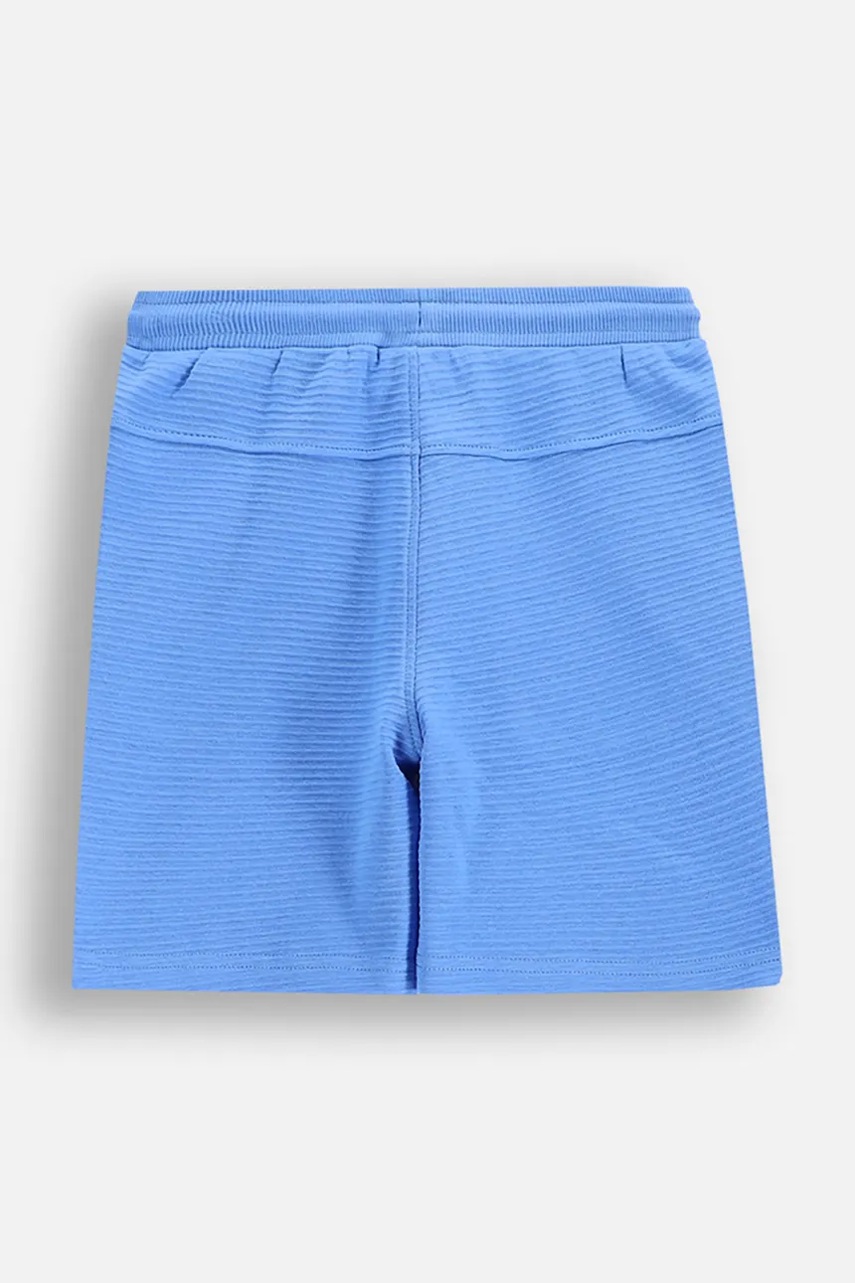 Шорты Coccodrillo регулируемая талия WILD SAFARI BOY KIDS