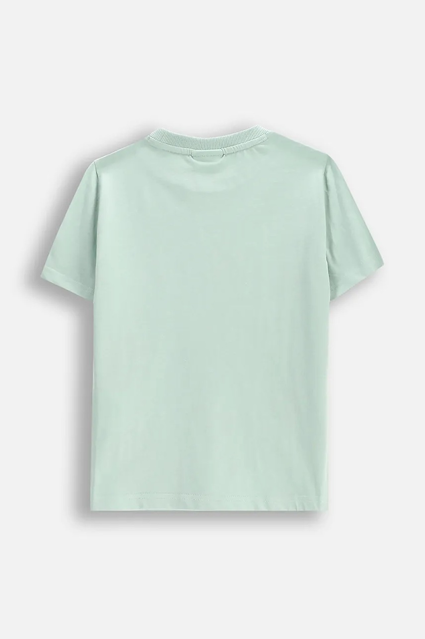 Футболка Coccodrillo цвет бирюзовый WILD SAFARI BOY KIDS