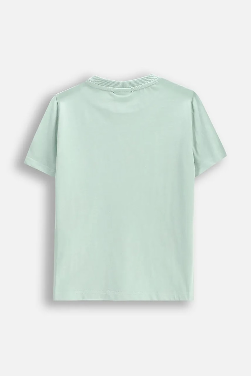 Футболка Coccodrillo цвет бирюзовый WILD SAFARI BOY KIDS Футболка Coccodrillo цвет бирюзовый WILD SAFARI BOY KIDS