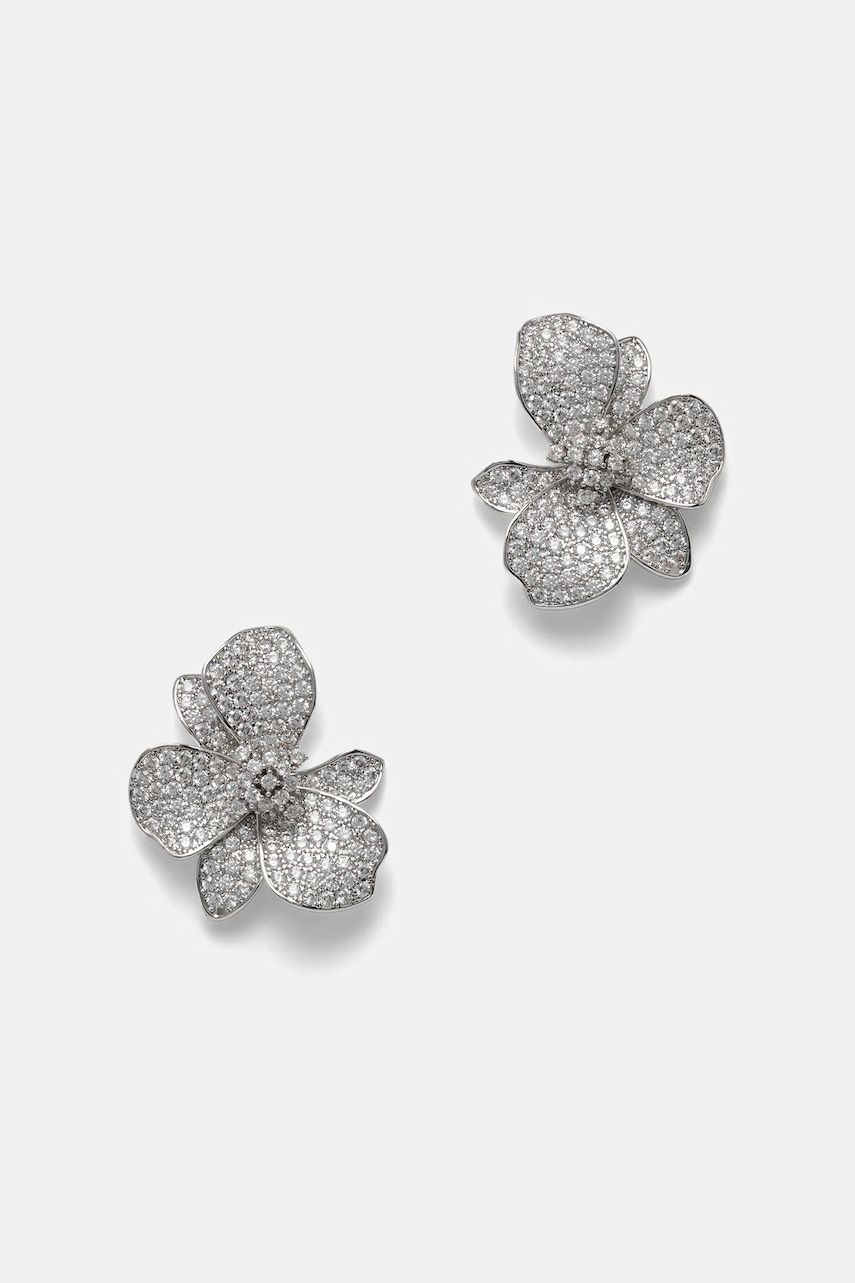 Σκουλαρίκια Aldo DAISYDRIP