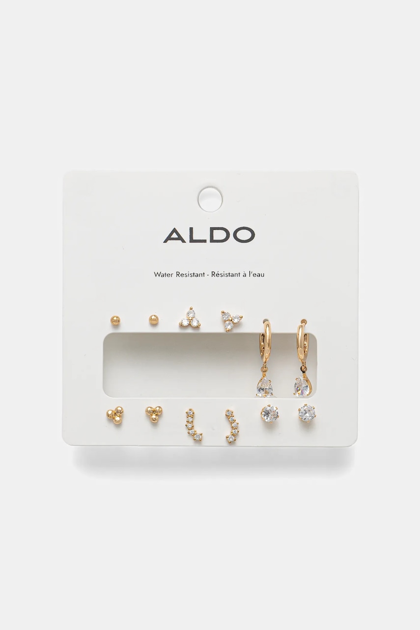 Σκουλαρίκια Aldo LIONADE 6-pack