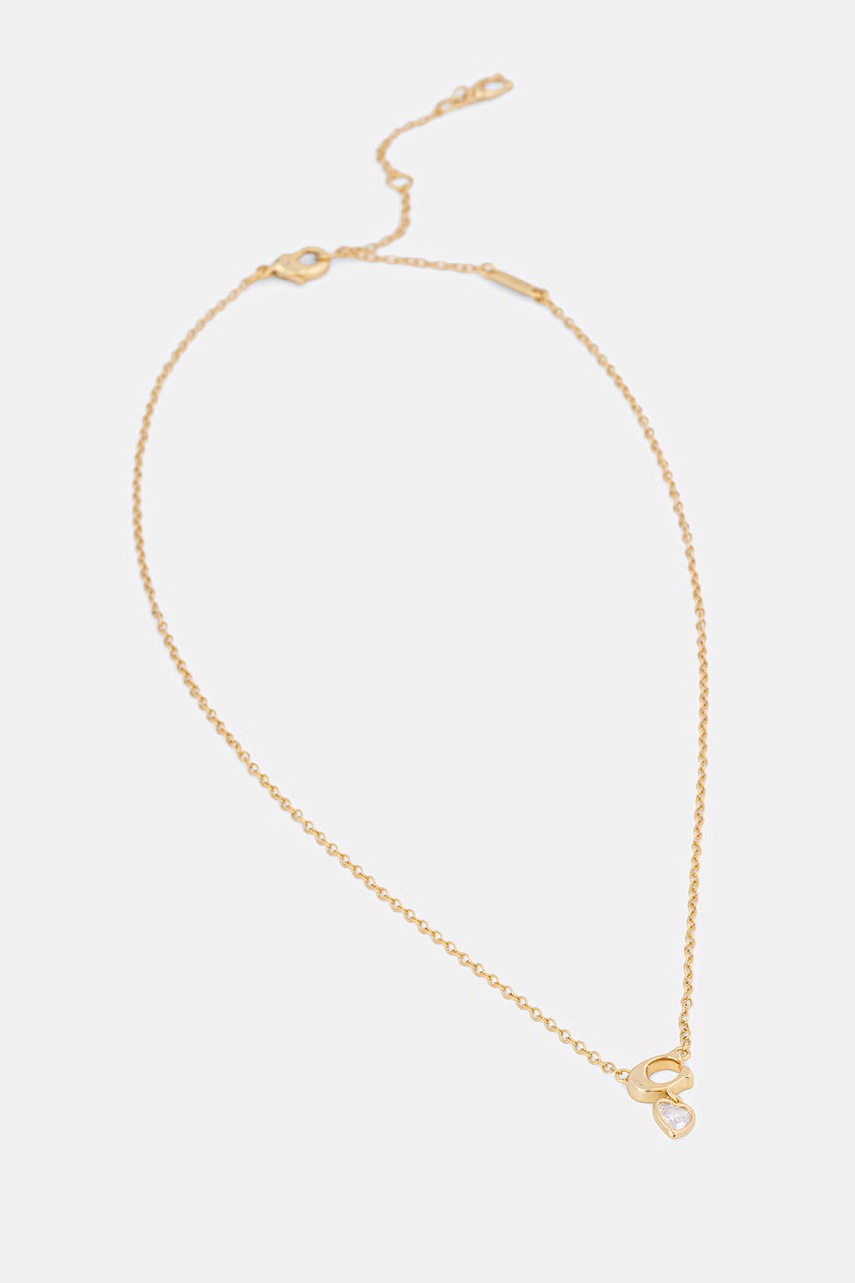 Náušnice a náhrdelník Coach