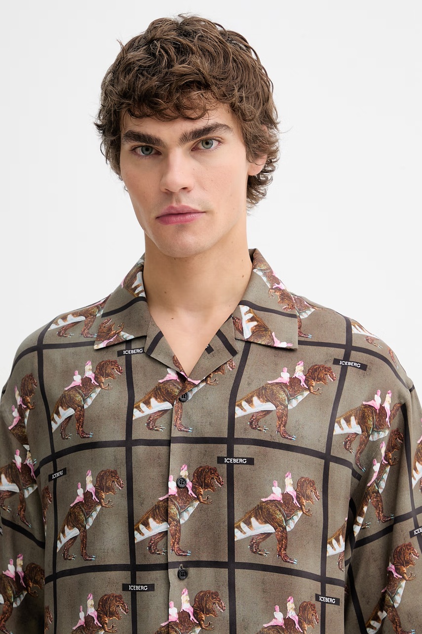 Πουκάμισο Iceberg φωτογραφία