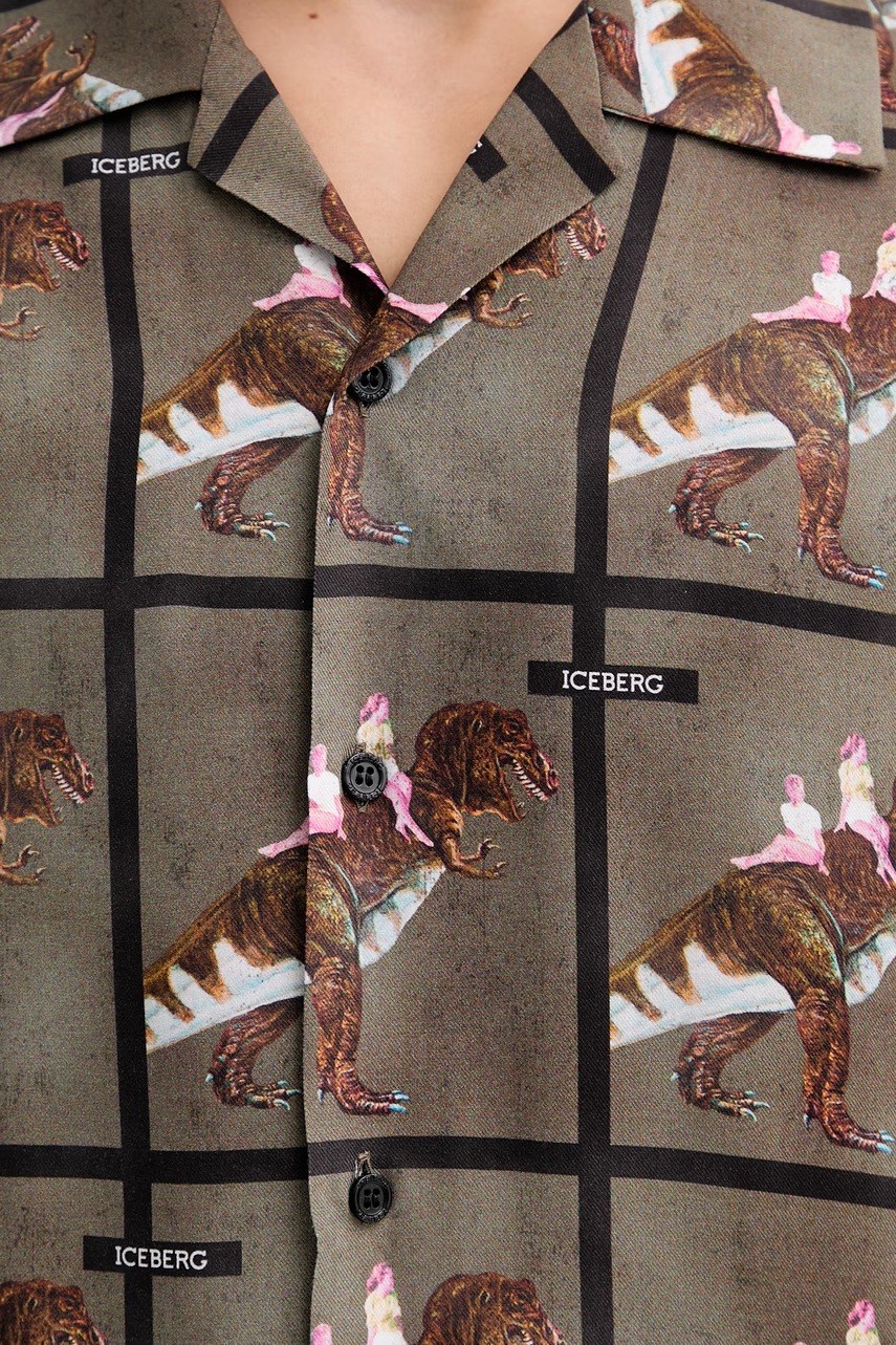 Πουκάμισο Iceberg φωτογραφία