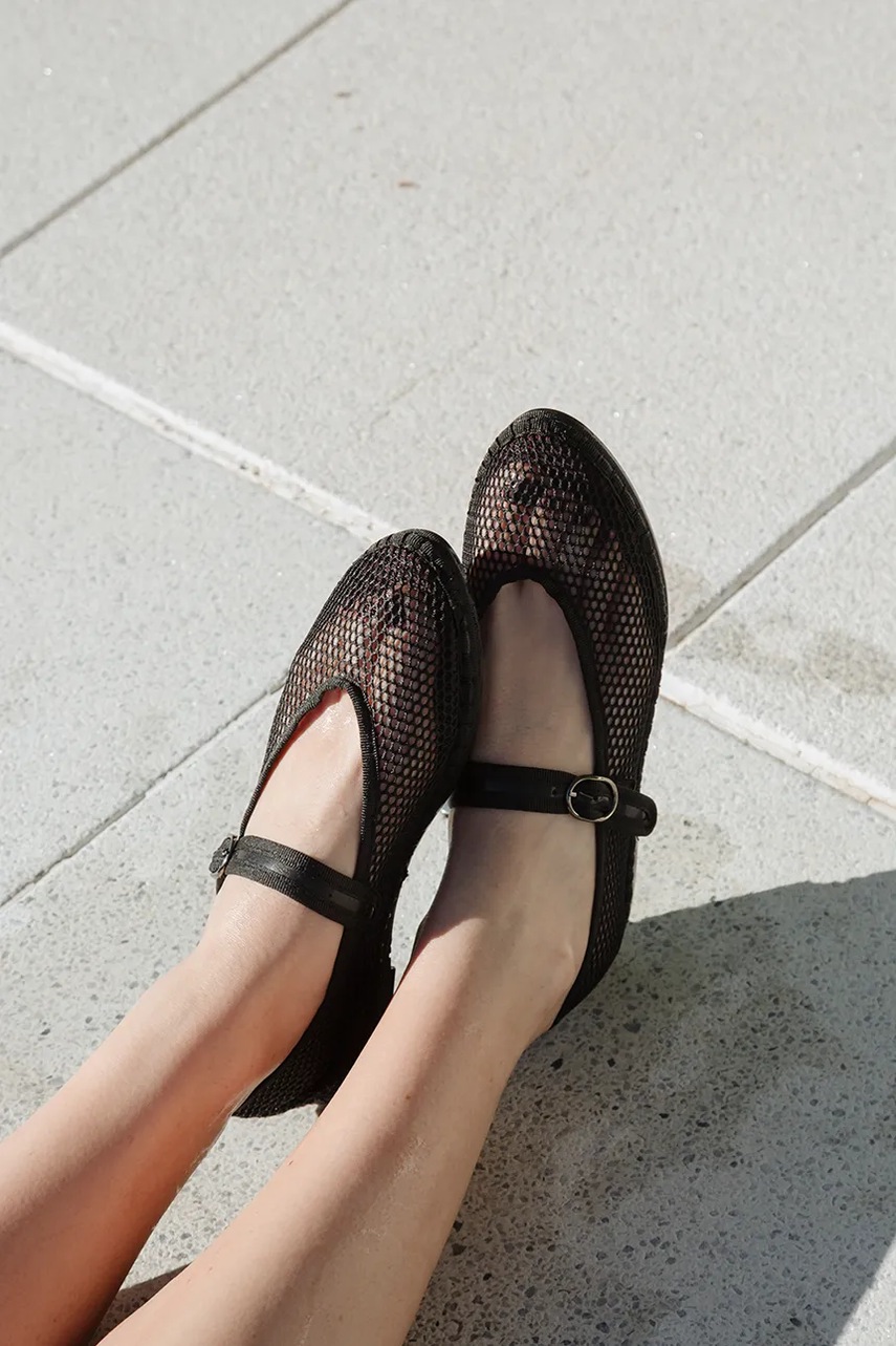 Μπαλαρίνες Flabelus Isabella φωτογραφία