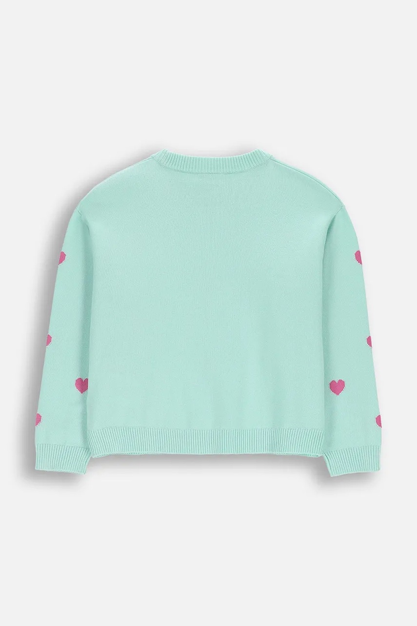 Coccodrillo svetr dětský s bavlnou