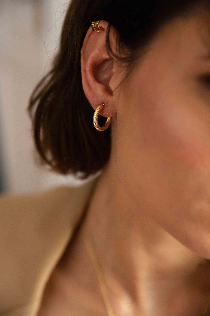 Επιχρυσωμένα σκουλαρίκια ANIA KRUK TRENDY φωτογραφία