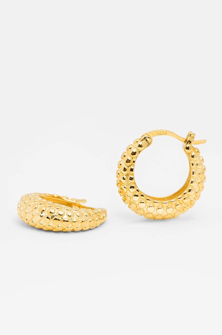 Ασημένια επιχρυσωμένα σκουλαρίκια ANIA KRUK VINTAGE SRUKS1170Z φωτογραφία