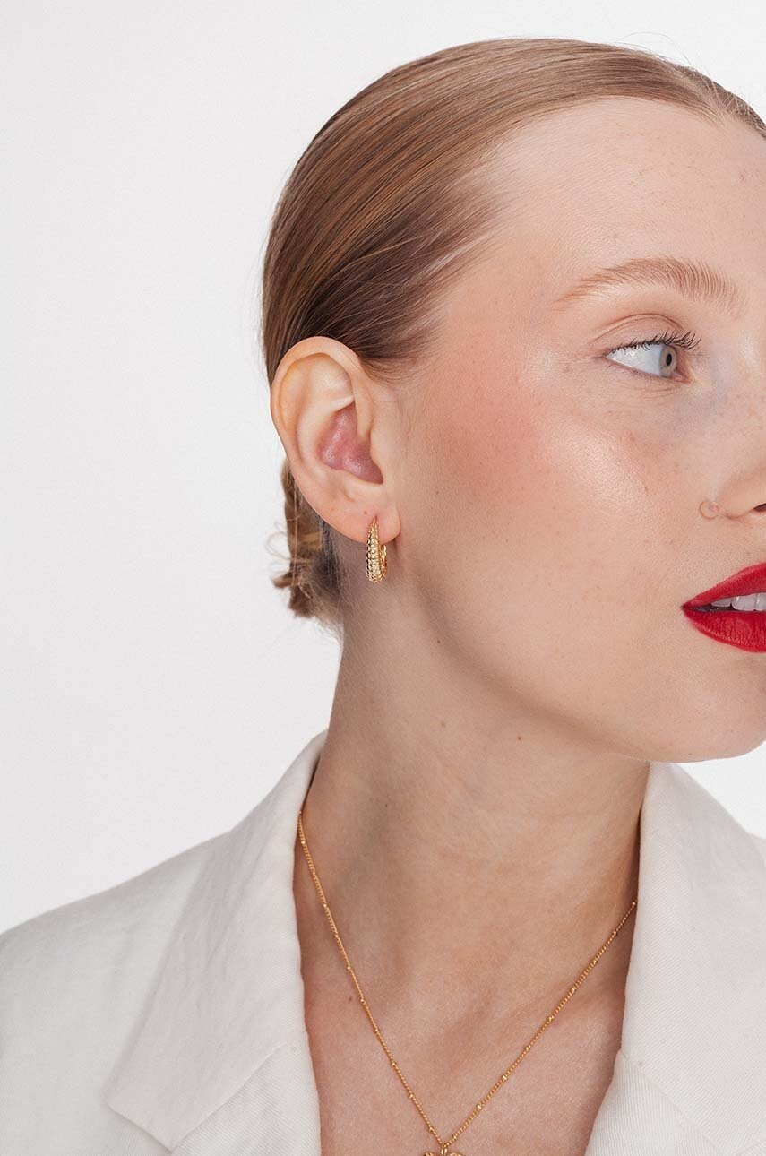 Ασημένια επιχρυσωμένα σκουλαρίκια ANIA KRUK VINTAGE SRUKS1170Z φωτογραφία