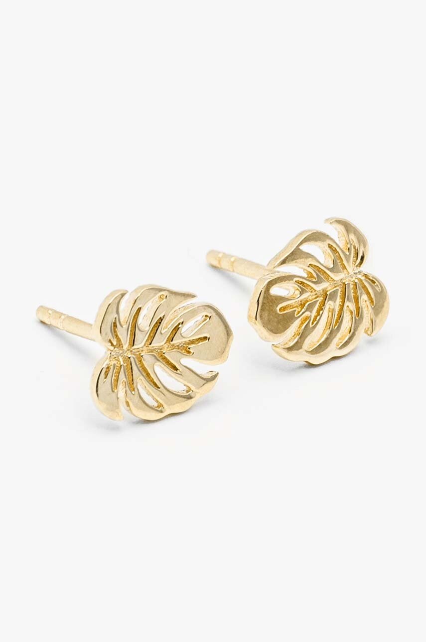 Χρυσά σκουλαρίκια ANIA KRUK SOFT ZAFKZ0230 φωτογραφία