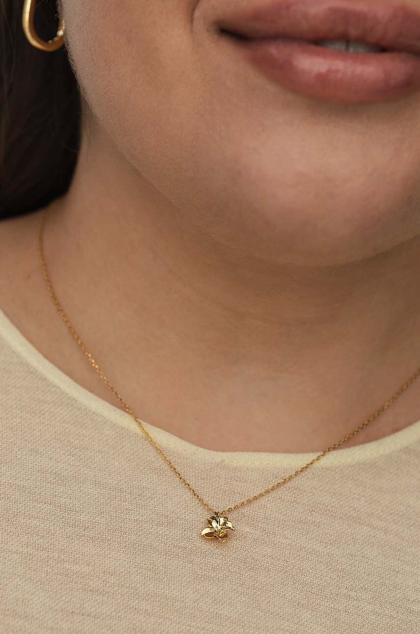 Κολιέ από επιχρυσωμένο ασήμι ANIA KRUK HIPPIE SMRNS1270Z φωτογραφία