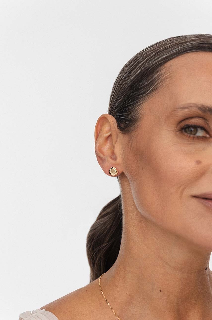 Ασημένια επιχρυσωμένα σκουλαρίκια ANIA KRUK ARIEL SAKKS2330Z φωτογραφία