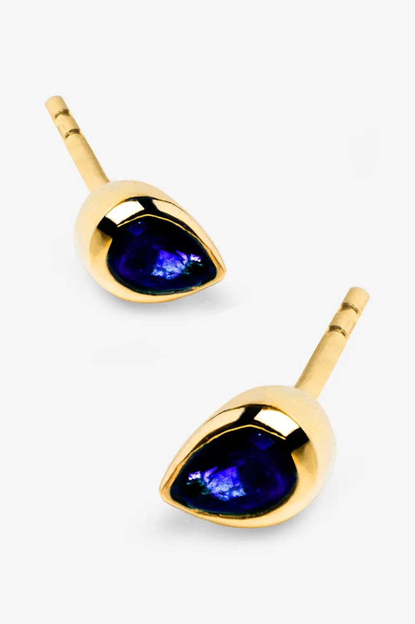 Χρυσά σκουλαρίκια ANIA KRUK DOLCE VITA ZALKN1394 φωτογραφία