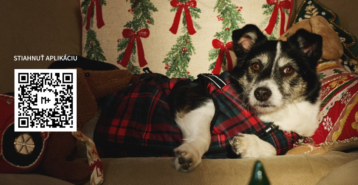 SPOLOČNE POMÔŽME ZVIERATKÁM