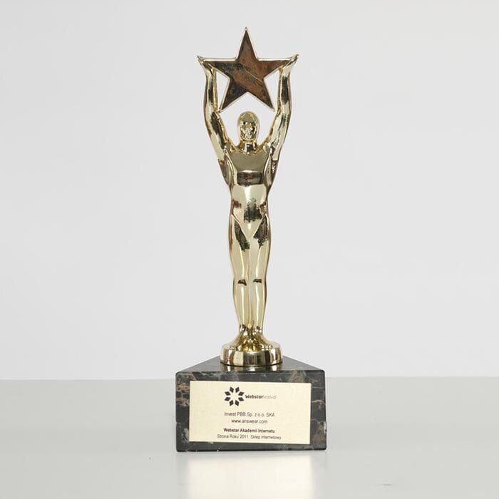 Webstar Strona Roku 2011 information image