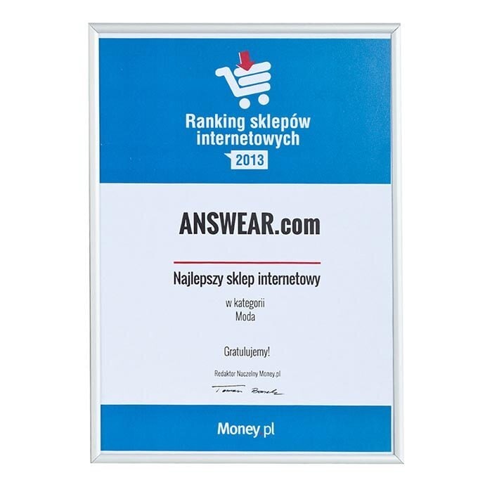 Ranking Sklepów internetowych 2013 information image