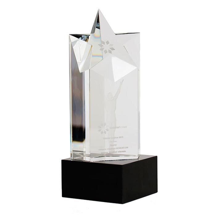 Webstar Festival 2013 information image