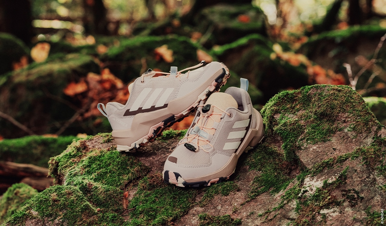 Снимок